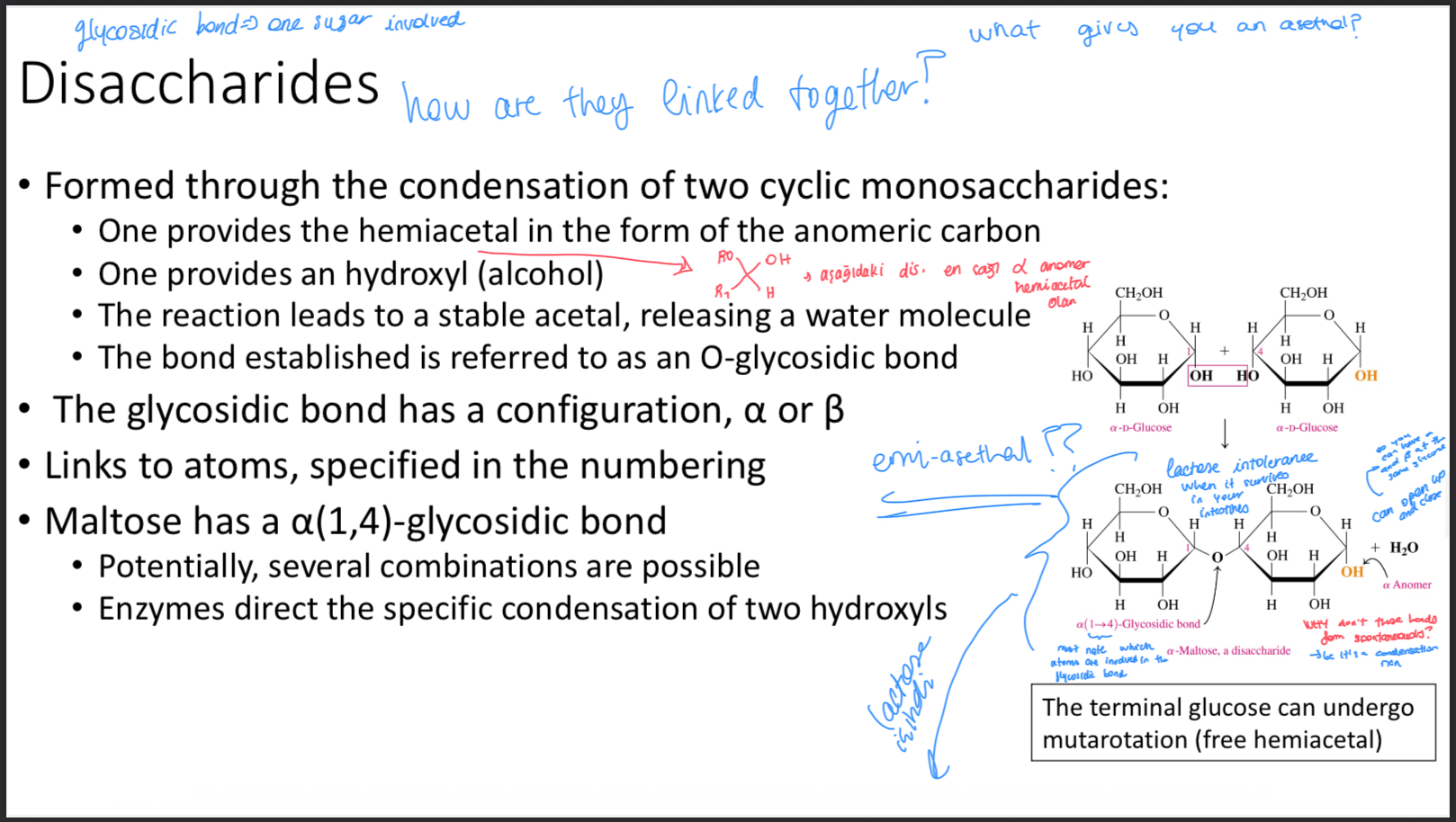 <ol start="20"><li><p>Slayt</p></li></ol><p></p>