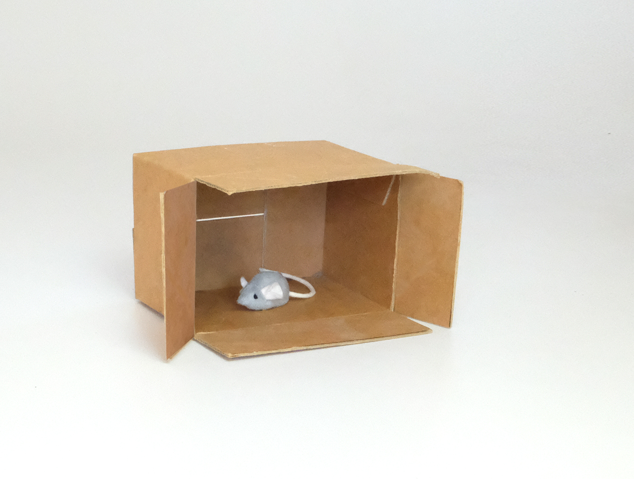 <p>The mouse is <strong>in</strong> the box.</p>