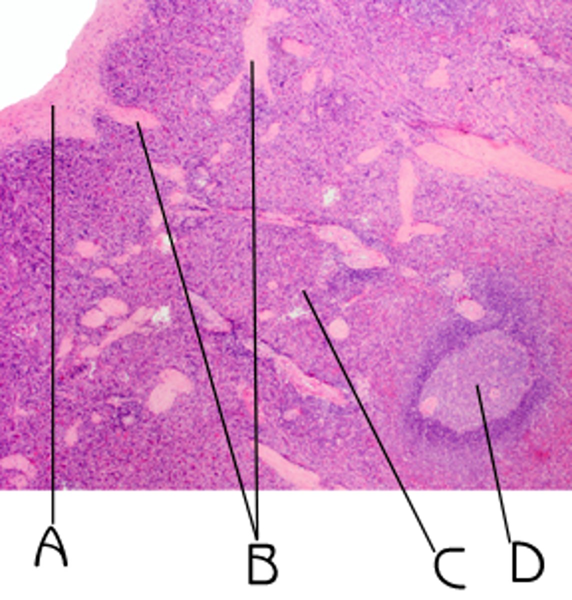 <p>What is A?</p>