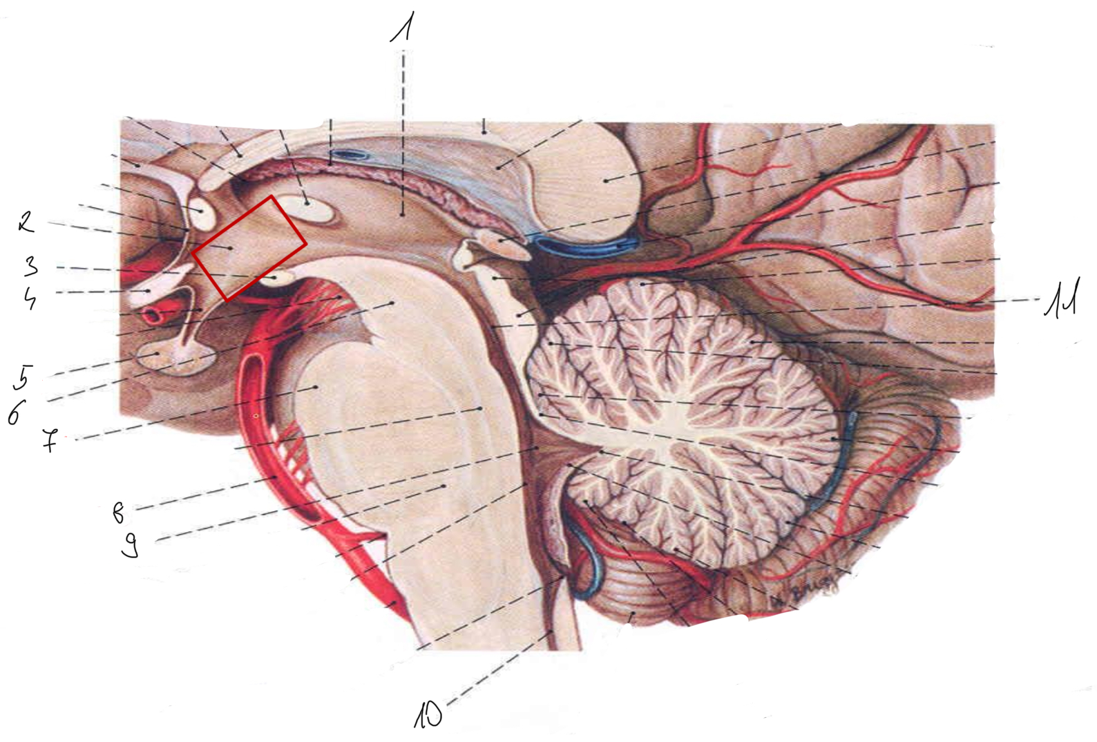 <p>4</p>