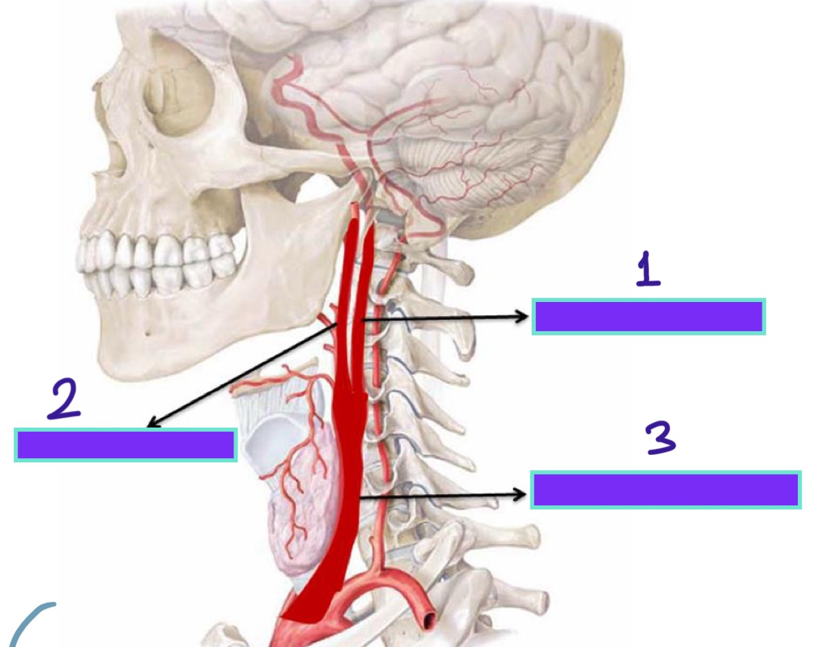 <p>1</p>