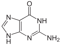 <p>What kind of molecule is this? It is purine or pyrimidine</p>