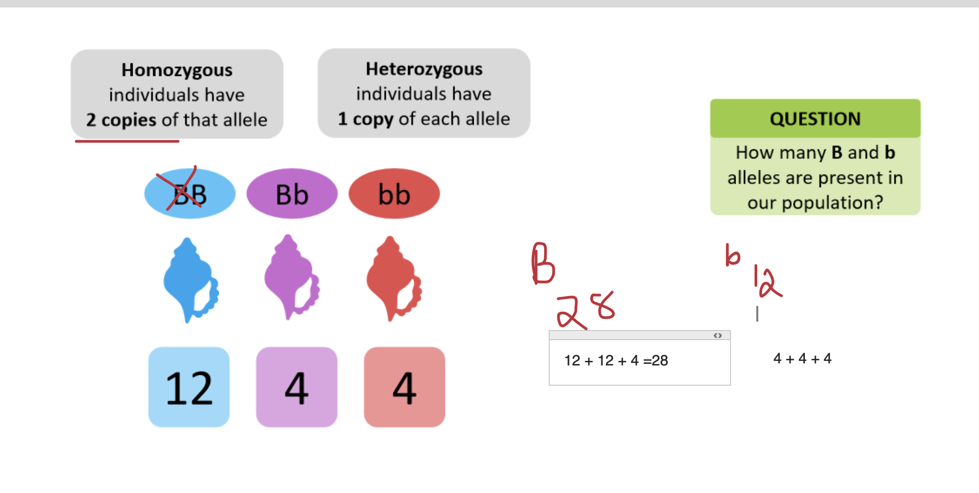 <p>ANS</p>