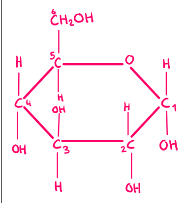 <p>α-glucose</p>