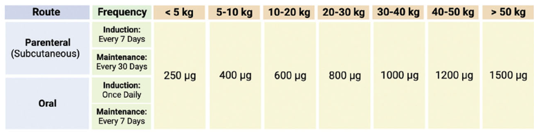 <p>induction phase: recheck serum concentrations 1-3 months later to confirm supplementation was adequate</p><p>maintenance: once normal concentrations achieved- monitor cobalamin every 6-12 months</p>