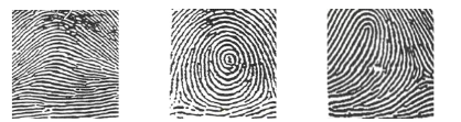 <p>Which one is a Whorl?</p>