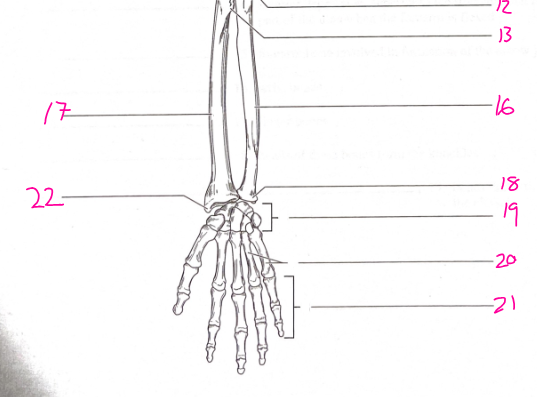 <p>What is number 20?</p>