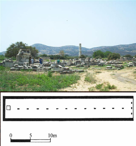 knowt flashcard image