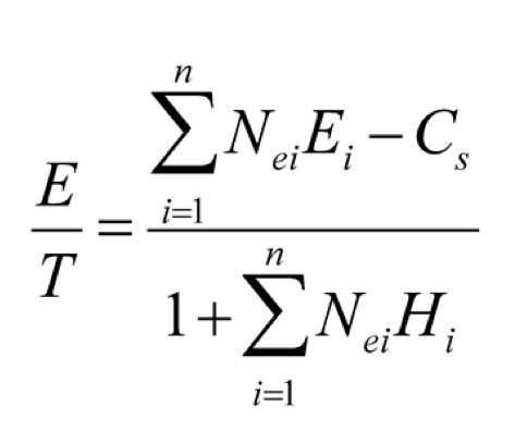 <p>What do each of the components of the Net E intake formula represent?</p>