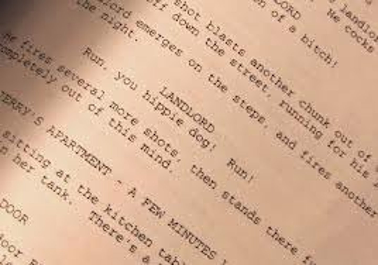 <p>texto o esquema escrito, plan ordenado / script</p>