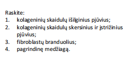 <p>purusis ir glaudusis netaisyklingas skaidulinis (kologeninis) jungiamasis audinys (piršto oda)</p>