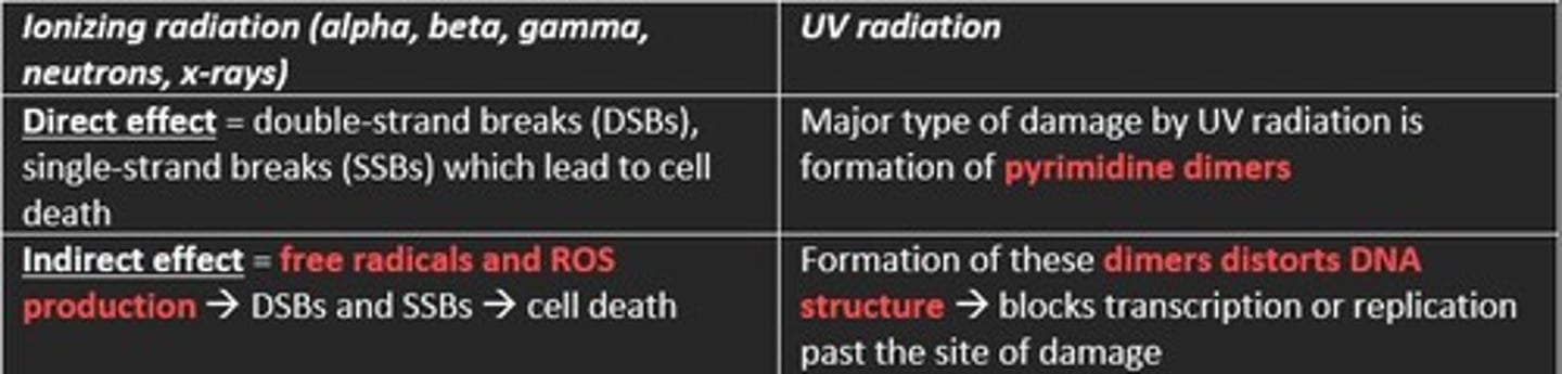 <p>1) Ionizing radiation (alpha, beta, gamma, neutrons and x-rays)</p><p>2) UV radiation</p>