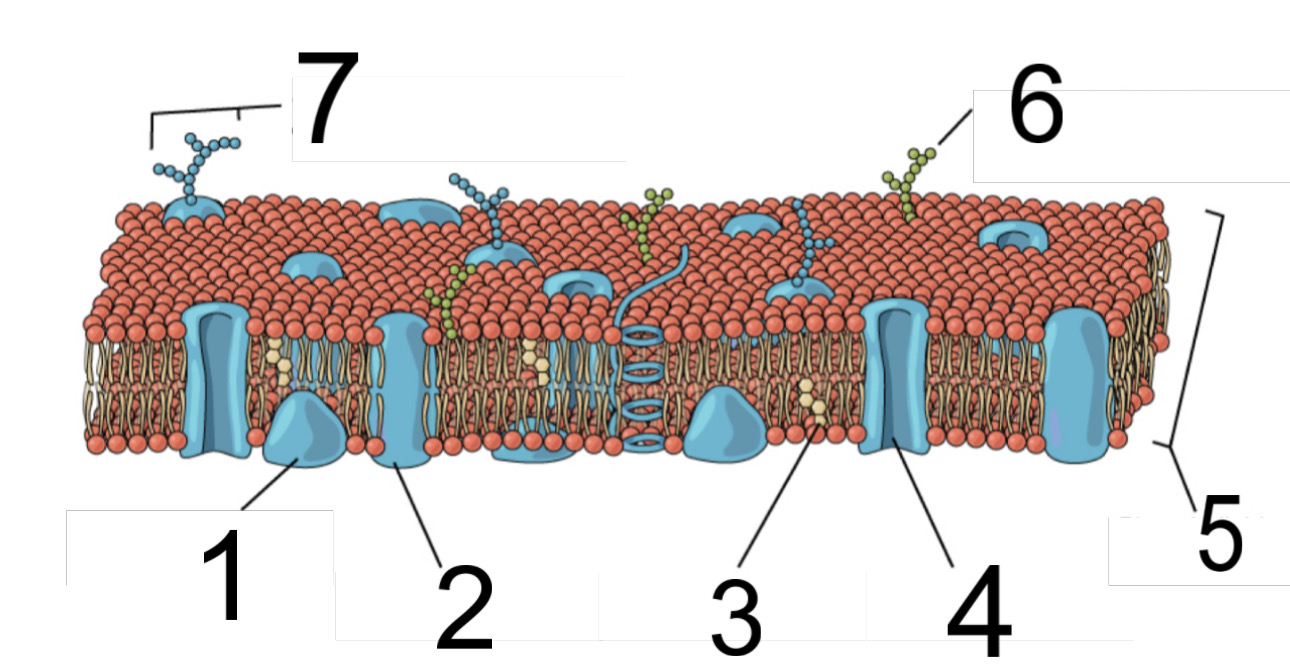 <p>3</p>