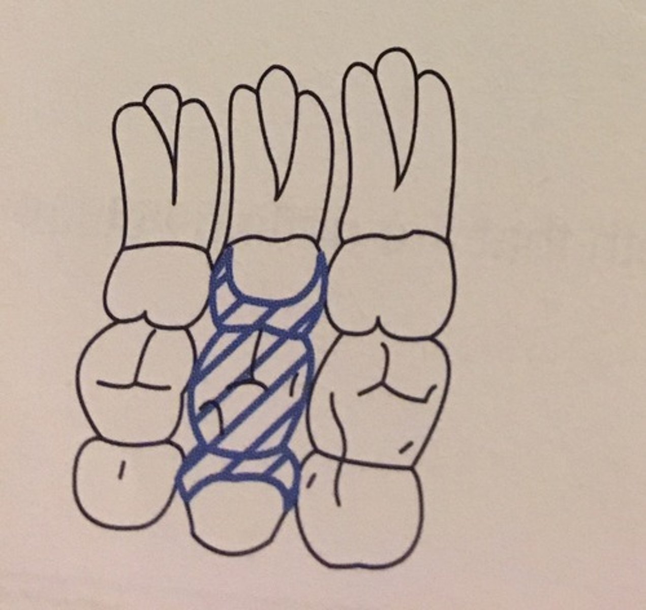 knowt flashcard image