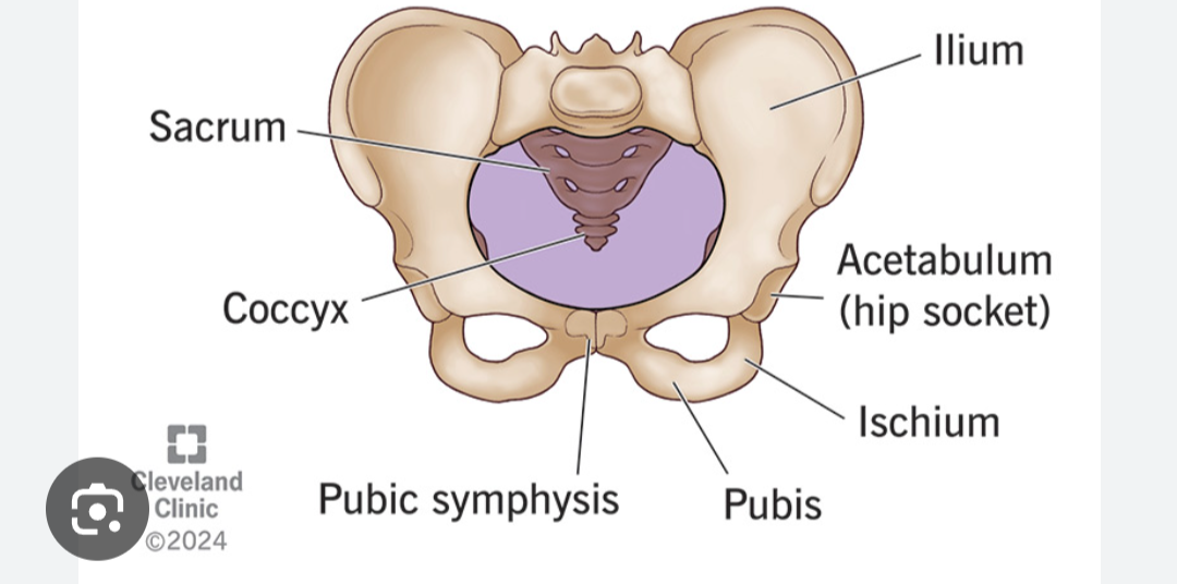 <p>Male or female? Why?</p>