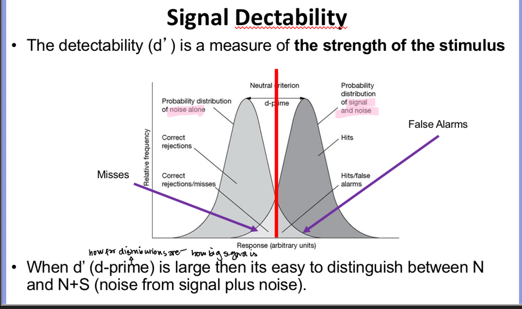 <p>Explain the graph</p>