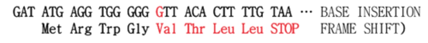 <p>Write the abbreviation at the protein level (AA 5 is usually a Leucine)</p>