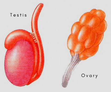 <p></p>