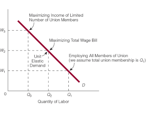 <ol><li><p>to employ all their members,</p></li><li><p>to maximize the total wage bill, or</p></li><li><p>to maximize income for a limited number of union members.</p></li></ol><p>Unit elastic is midpoint between maximizing wages and maximizing employment </p><p></p>