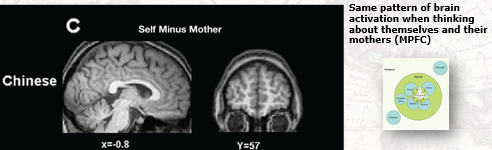 Same pattern of brain activation when thinking about themselves and their mothers (MPFC)

Chinese self-representations for themselves and their mothers = not that distinct and both reflect self-concept. Significant others form a core part of self-concept for those w/ interdependent selves

*Medial prefrontal cortex (MPFC) linked to self-representations