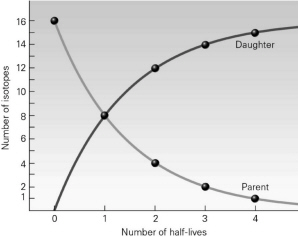 <p><span>According to the following image, after one half-life has passed, what is the ratio of parent isotopes to daughter isotopes?</span></p>