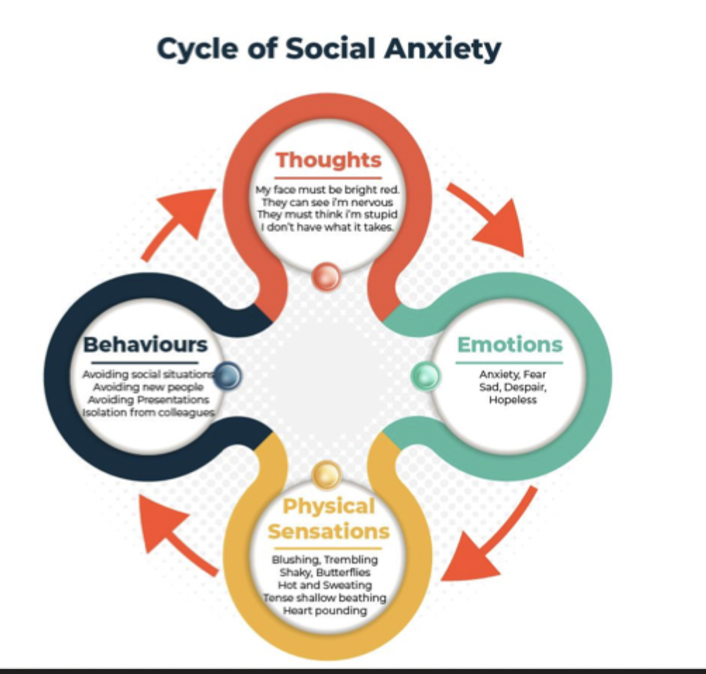 <ol><li><p><mark data-color="blue" style="background-color: blue; color: inherit;">Thoughts: </mark>ex. my face must be red, they can see I’m nervous, they must think I’m stupid, I don’t have what it takes.</p></li><li><p><mark data-color="purple" style="background-color: purple; color: inherit;">Emotions:</mark> ex. anxiety, fear, sadness, hopelessness</p></li><li><p><mark data-color="red" style="background-color: red; color: inherit;">Physical sensations</mark>: ex. blushing, trembling, butterflies, sweating, pounding heart, shallow breathing</p></li><li><p><mark data-color="green" style="background-color: green; color: inherit;">Behaviors:</mark> ex. avoiding social situations, avoiding new people, avoiding presentations, isolation from colleagues.</p></li></ol><p></p>