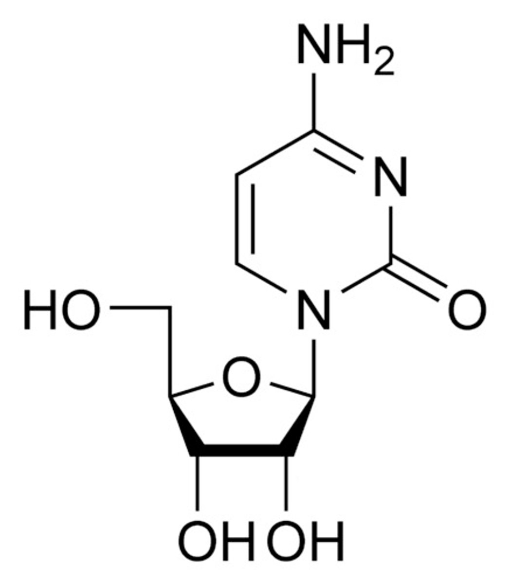 <p>nucleoside</p>