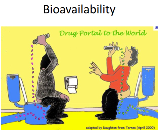 <ul><li><p><strong>Bioavailability</strong></p><ul><li><p>How much drugs gets absorbed into the blood</p></li></ul></li></ul><p><strong>Relate to drug response</strong></p><ul><li><p>High bioavailability = More drug is available to exert on body</p></li><li><p>Low bioavailability = Needs more doses for therapeutic effect</p></li></ul><p></p><p><strong>Ex</strong>: Expensive pee</p><p></p>