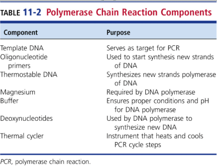 <p>PCR: Denaturing, Primer Annealing, Primer Extension</p>