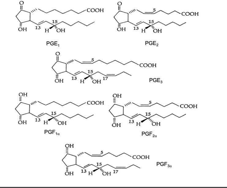 <ul><li><p>prostaglandins all have a <strong>cyclopentane ring</strong></p></li><li><p>letter code is based upon ring modifications (e.g. hydroxyl or keto groups)</p></li><li><p>the subscript refers to the <strong># of double bonds in the 2 side chains</strong></p></li></ul><p></p>