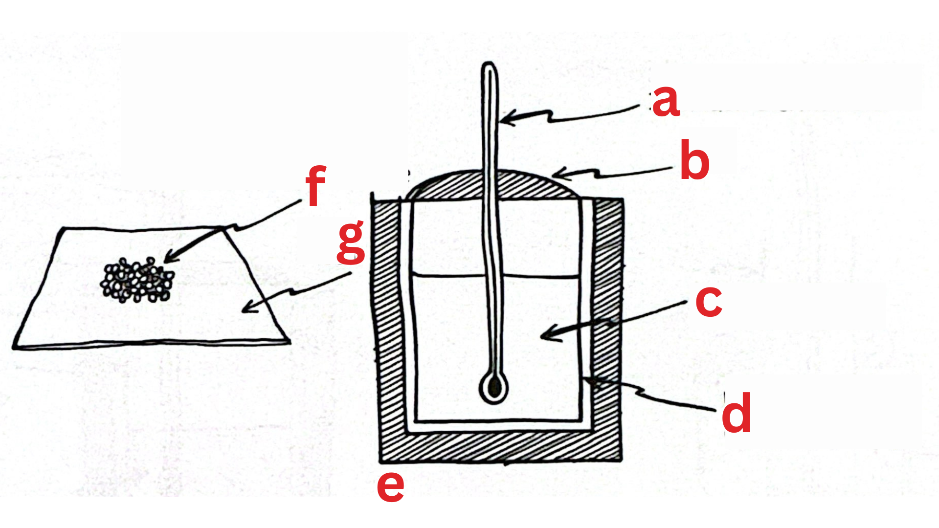 <p><span style="color: rgb(0, 0, 0);"><span>Label This Diagram</span></span></p>