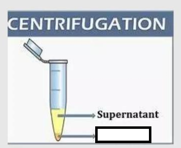 <p>So as to more rapidly and completely cause the _____ to gather on the bottom of the tube. The solution (supernatant) is then either decanted or used in other step.</p>