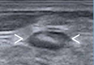 <p>What is this?</p>