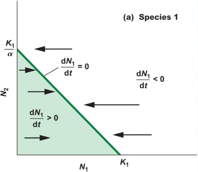<p>the effect of species # on # will drive species 1 to carrying capacity</p>