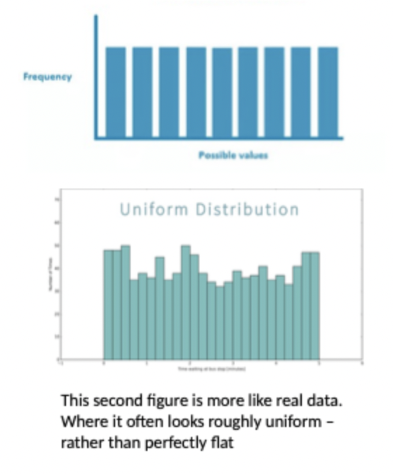<ul><li><p>Flat shape </p></li><li><p>No peak, more rectangle shape </p></li><li><p>al values equally or relatively likely to occur with similar frequency </p></li><li><p>values are spread evenly across a fixed range </p></li></ul><p></p>