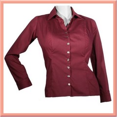 <p>a blouse</p>