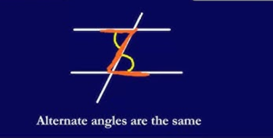 <p>alternate angles are equal</p>