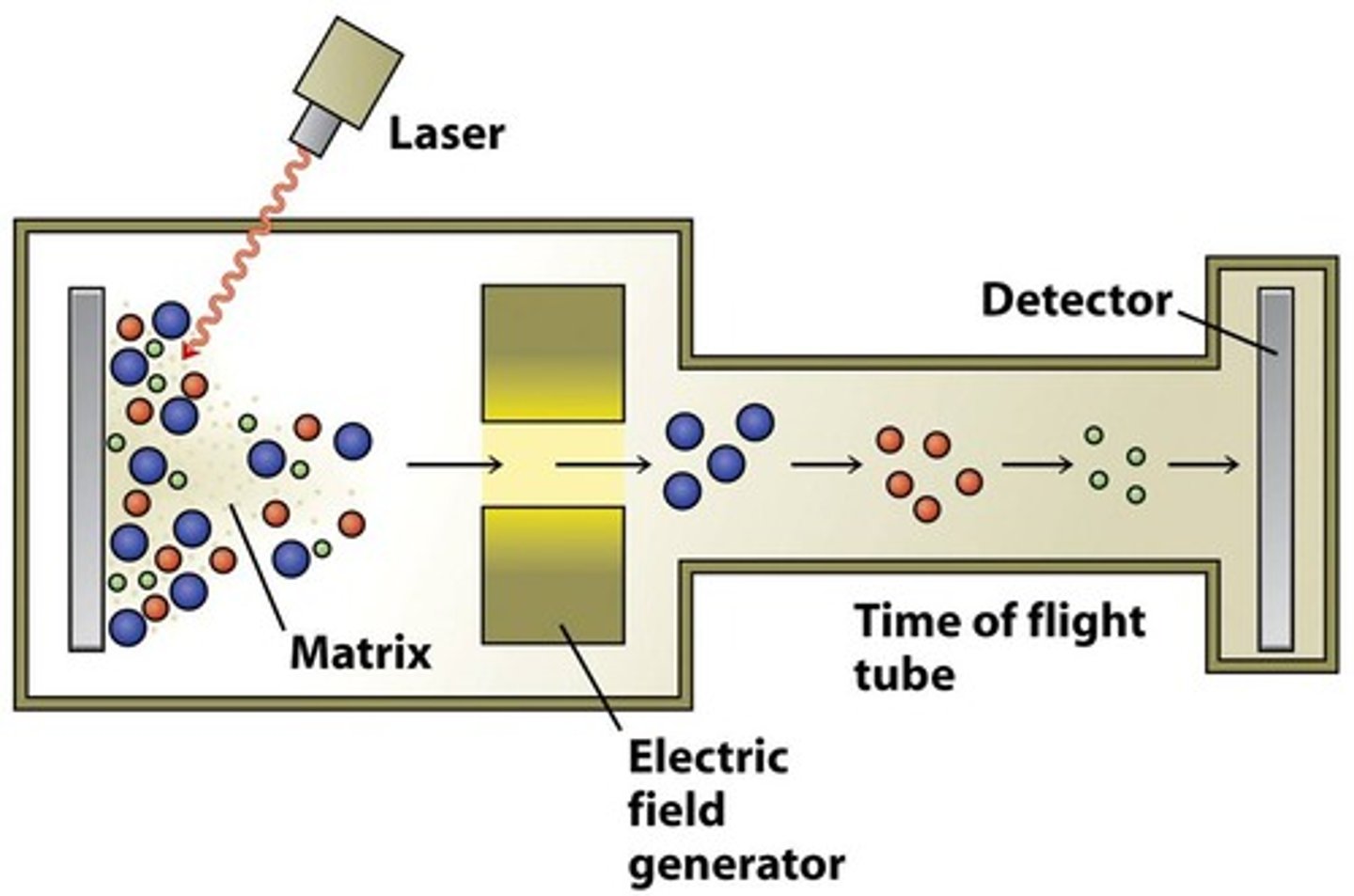 <p>A sample of an element is vaporised and injected into the mass spectrometer.</p><p>Hard ionisation - due to electron impact, fire high energy electrons using electron guns, electrons are knocked off, molecules are now +ions. (No mass change as a mass number = proton + neutron). Causes sample to FRAGMENT</p><p>Soft ionisation (ELECTROSPRAY) - Dissolve the sample in a polar volatile solvent, inject through a needle attached to a high voltage. The high voltage rips a proton off the solvent and attaches it to the sample molecules. The sample molecule are now positively charged. (Mass change as a proton has been gained). Sample does NOT FRAGMENT.</p>
