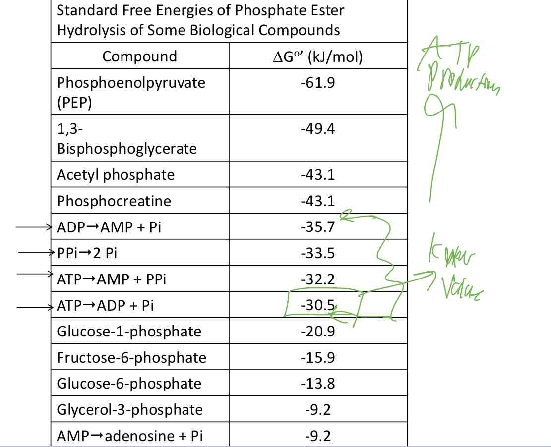 <p>Free energy value of ATP</p>