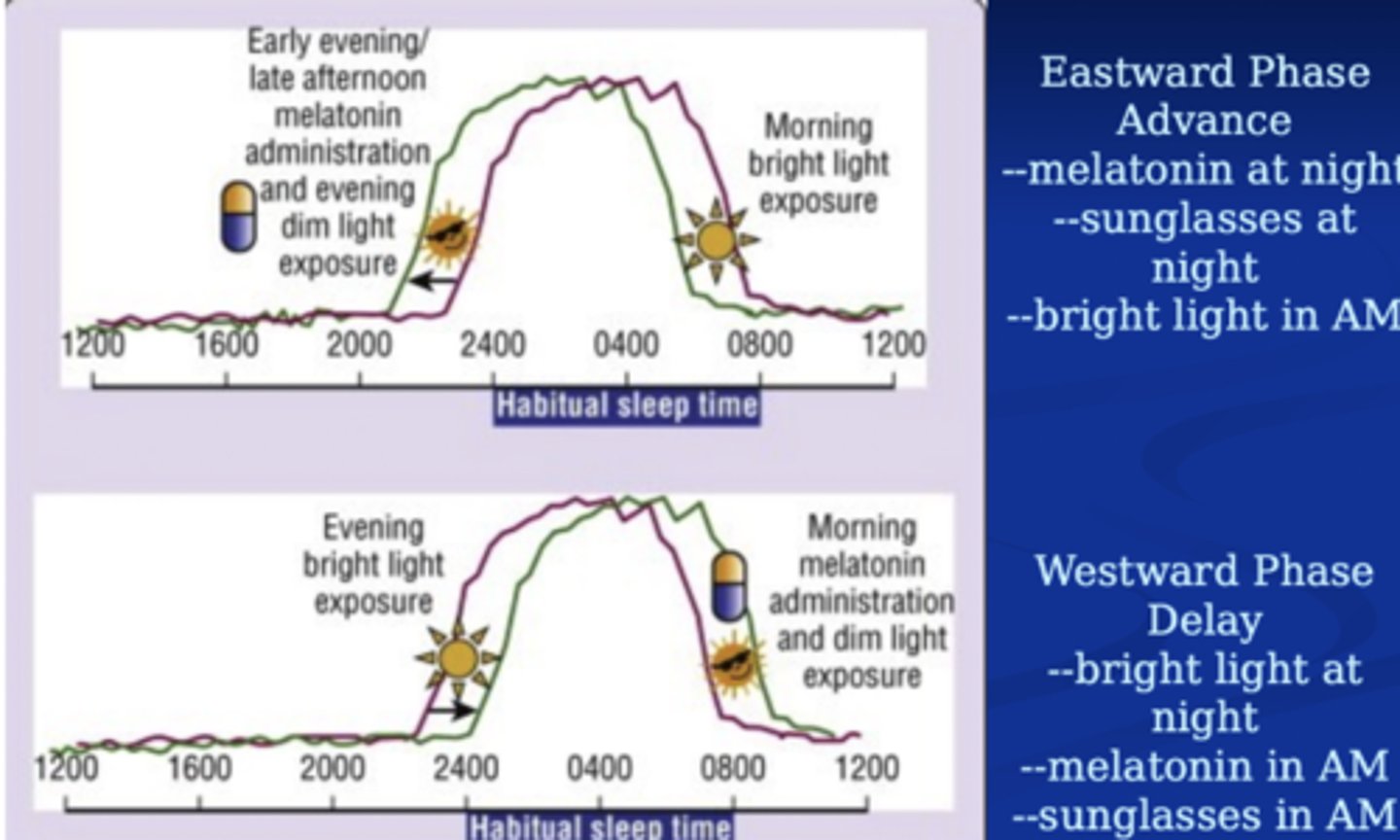 <p>In general, following phase changing travel, there is little trouble falling asleep the first night upon arrival because of an increase in sleep pressure (process S)</p><p>East</p><p>Usually people have more difficulty initiating sleep following eastward travel (a few days to a week) because they've been advanced</p><p>West</p><p>More difficulty maintaining sleep later</p>
