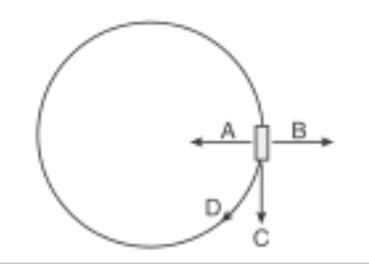 <p><br><span>At the position shown in the diagram, which arrow indicates the direction the instantaneous (tangential) velocity of the cart?</span></p>