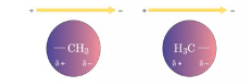 <p>What force is a major influence in determining protein conformation</p>
