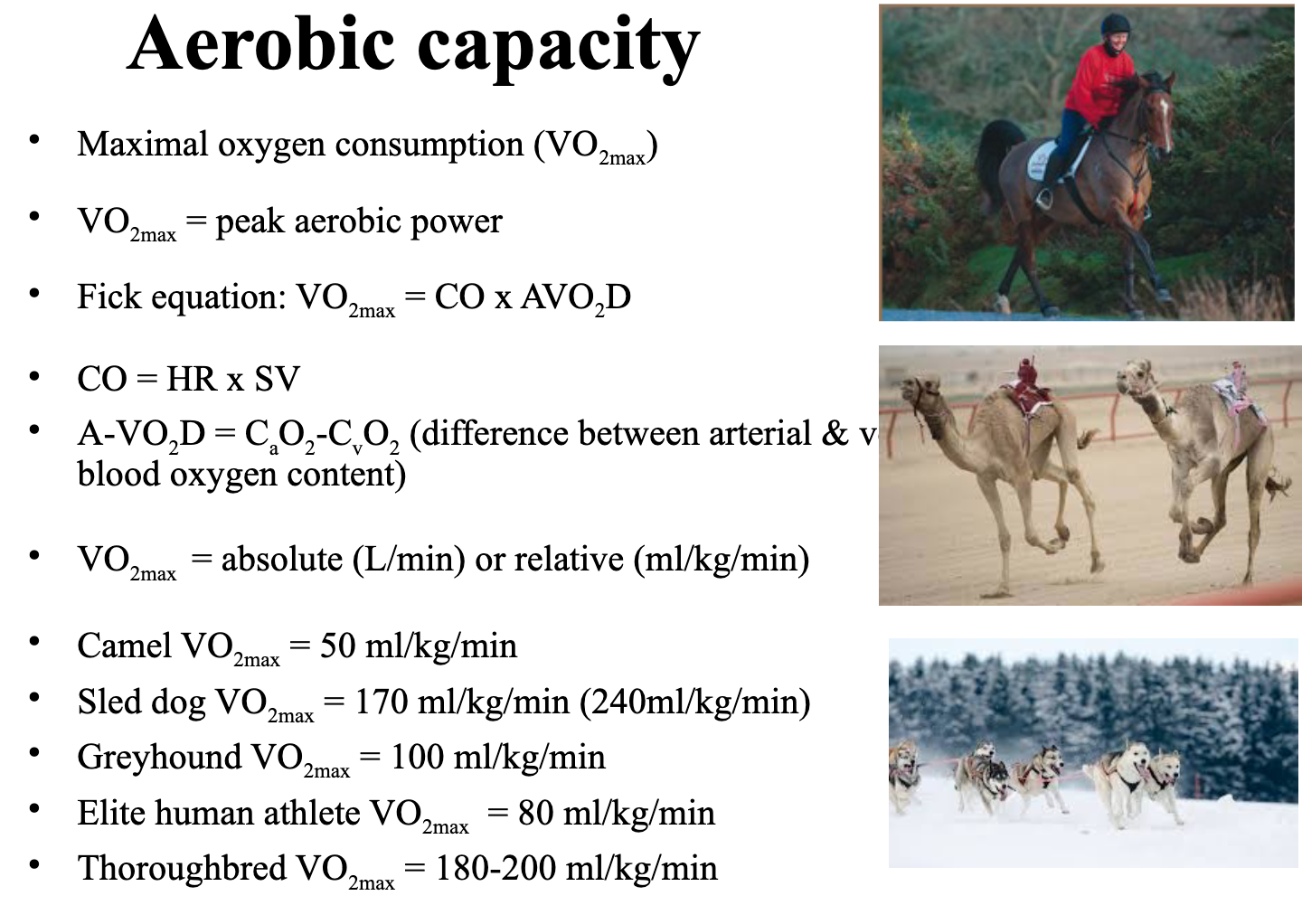<p>VO2max is the gold standard, represents the maximal oxygen consumption (peak aerobic power), can be absolute (L/min, doesn’t account for weight) or relative (ml/kg/min)</p><p>Fick equation:</p><p>VO2max = CO x AVO2D</p><p>CO = HR x SV</p><p>AVO2D = CaO2 - CvO2 (difference between arterial and venous blood oxygen content)</p>