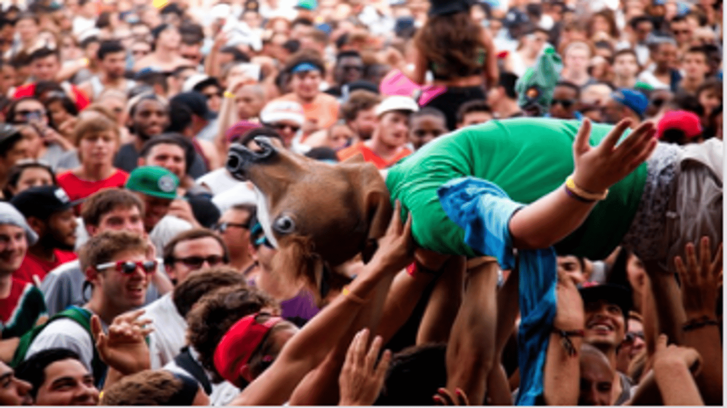 <p>party animal</p>