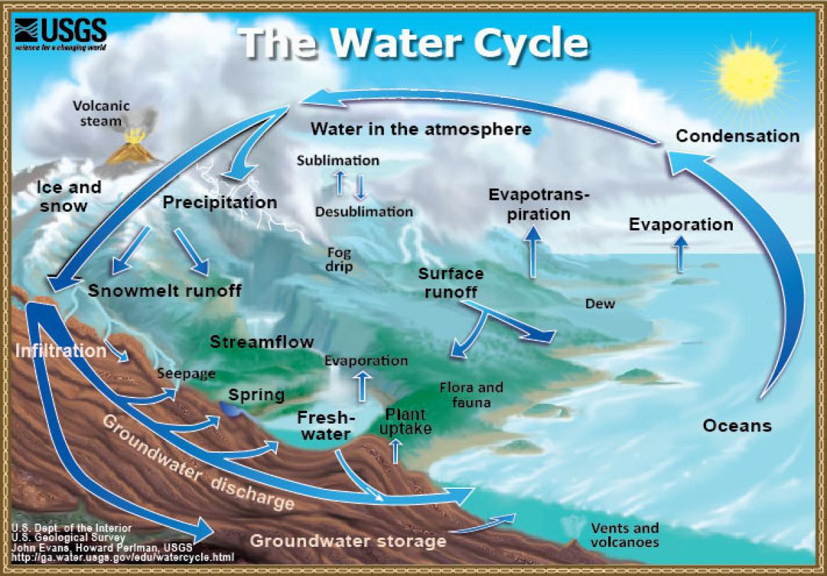 Describe what happens in the water cycle.