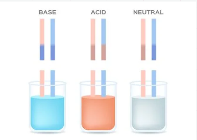 <p>Acids</p>