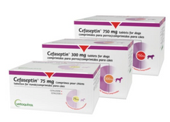 <p>Cephalexin</p>