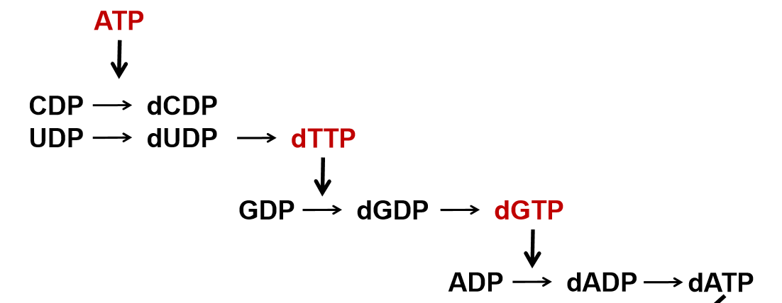 <p></p>