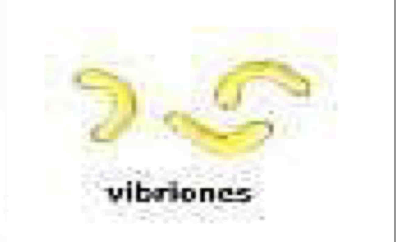<p>Vibriones</p>