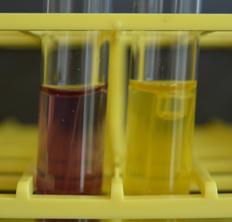 <p>Name this test</p><p>Which side is positive</p><p>Which side produced gas? How do we know?</p><p>Name the organism</p><p>What is the pH indicator used?</p>